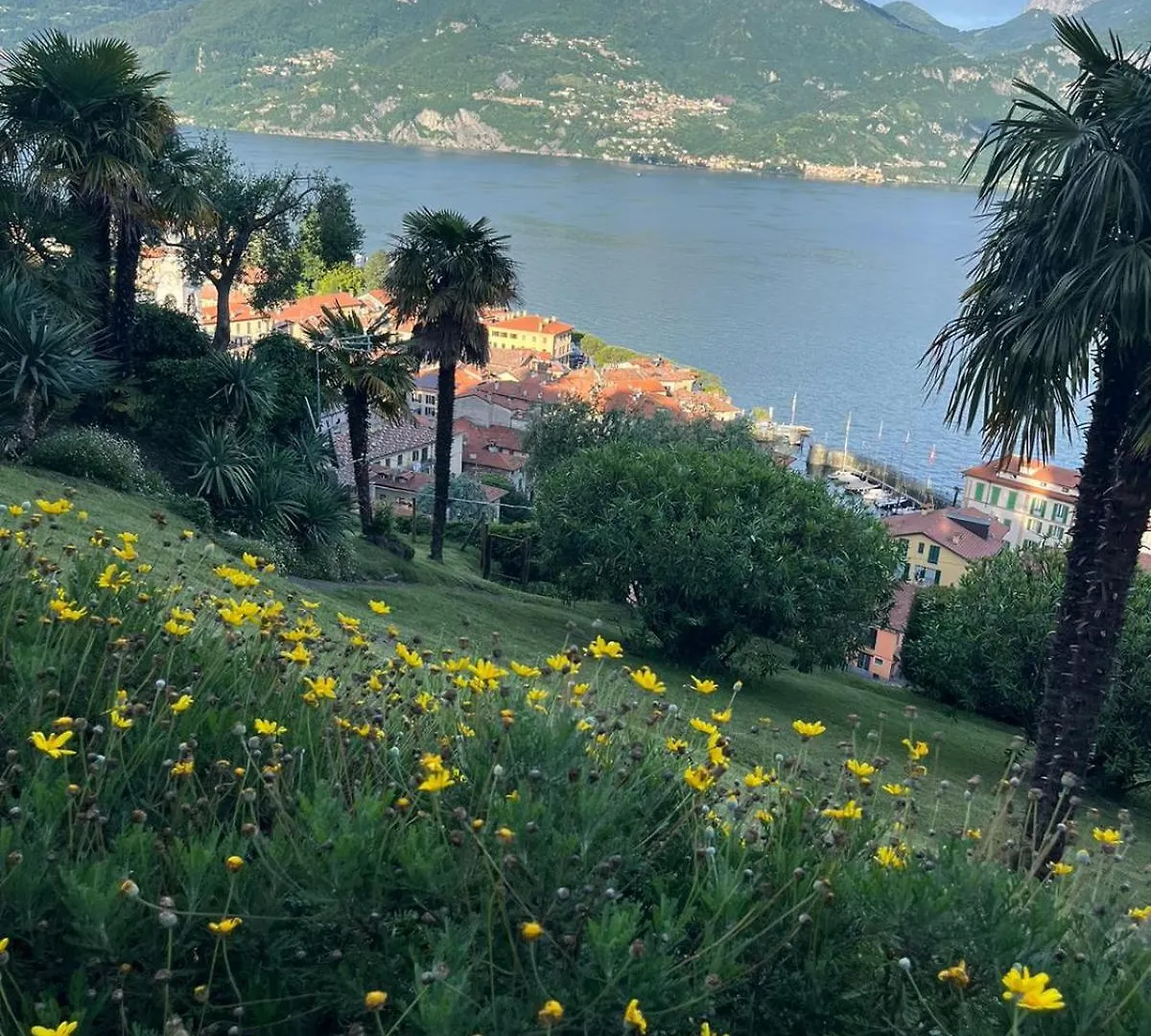 Apartment Giardino Sul Lago Menaggio Italien