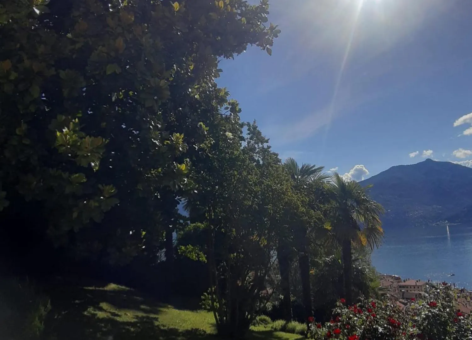 Lägenhet Giardino Sul Lago Menaggio